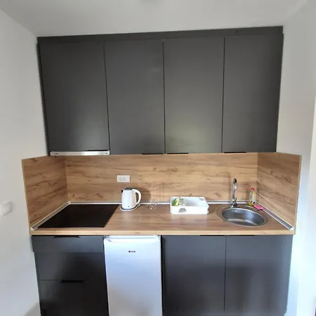 Banjski Biser Apartment Josanicka Banja
