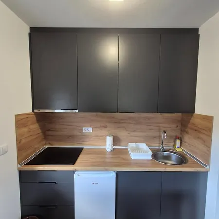 Apartment Banjski Biser