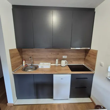 Apartment Banjski Biser Josanicka Banja