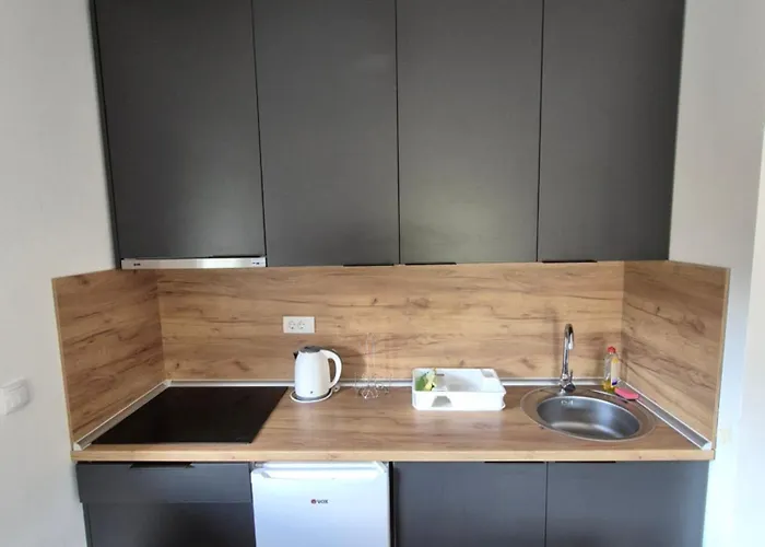 Banjski Biser Appartamento Josanicka Banja