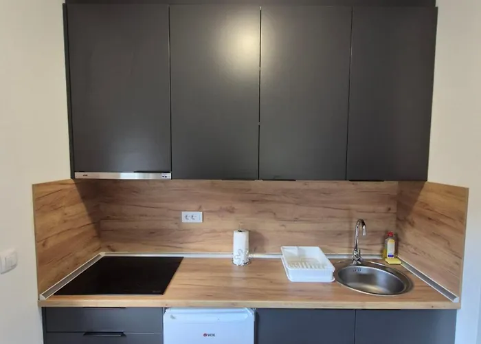 Appartamento Banjski Biser